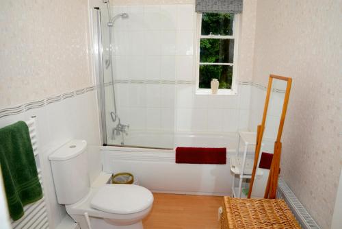 Un baño con ducha, inodoro y bañera. en Ladywood House Bed and Breakfast, en Ironbridge