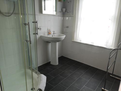 a bathroom with a sink and a glass shower at Sunflower Lodge in Bridlington