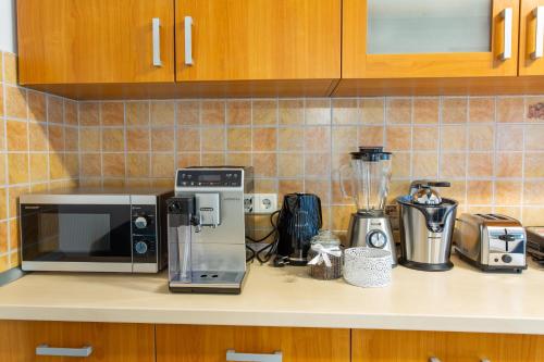 a kitchen counter with a microwave and other appliances at Pension Carmen`s Mansion A in Sinaia