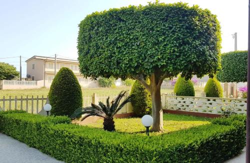 un giardino con un albero, cespugli e una recinzione di Capo Rizzuto Home a Capo Rizzuto