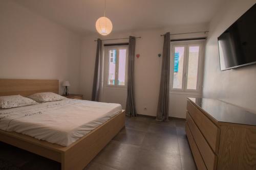 - une chambre avec un lit, une télévision et 2 fenêtres dans l'établissement 17 Les Colles, à Valbonne