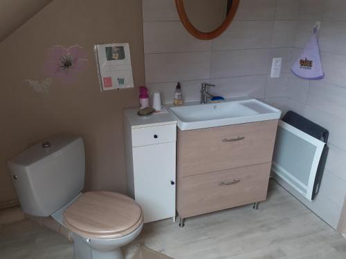 une petite salle de bain avec toilettes et lavabo dans l'établissement chambre à la campagne, à Baulon
