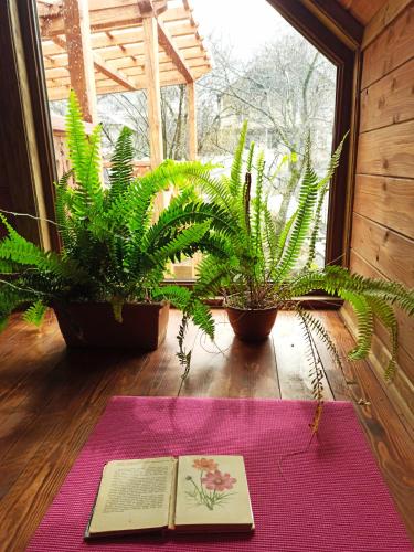 an open book sitting on a table next to plants at Jermatun Guest House in Dilijan