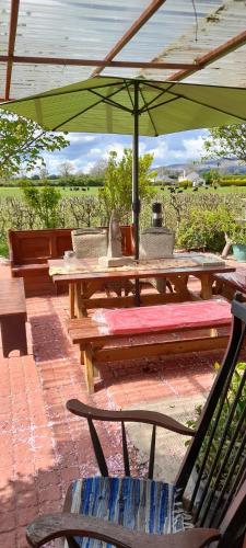 a picnic table with a green umbrella and benches at Annaswood B&B in Cahir