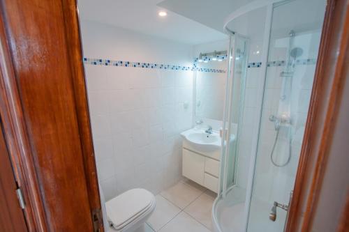 a bathroom with a shower and a toilet and a sink at Apartamento Luztur in Luz