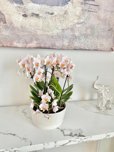 a white vase with pink flowers on a table at The Longmont Luxury Condo in the heart of providence in Providence