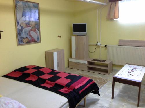 a bedroom with a bed and a table and a tv at Utulny privat in Veľký Meder