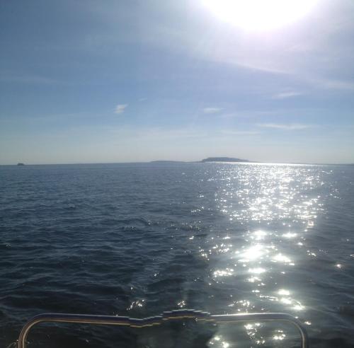 a view of the ocean from a boat in the water at Ferienwohnung im Nationalpark Jasmund in Hagen