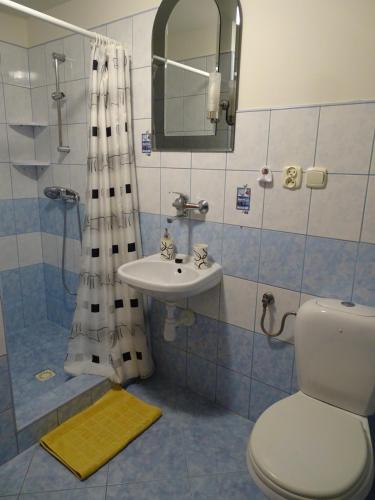 Ванна кімната в Pokoje u Danusi
