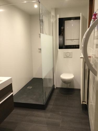 a bathroom with a toilet and a glass shower at Kruitenberg in Bruges
