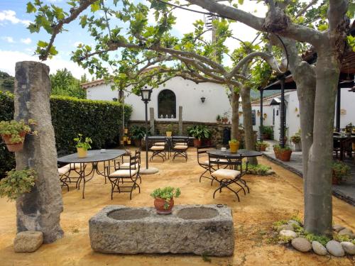 eine Terrasse mit Tischen, Stühlen und Bäumen in der Unterkunft Posada Real Quinta de la Concepción in Hinojosa de Duero