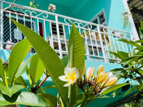 a tree with yellow and white flowers in front of a building at On My Way Dulan in Donghe