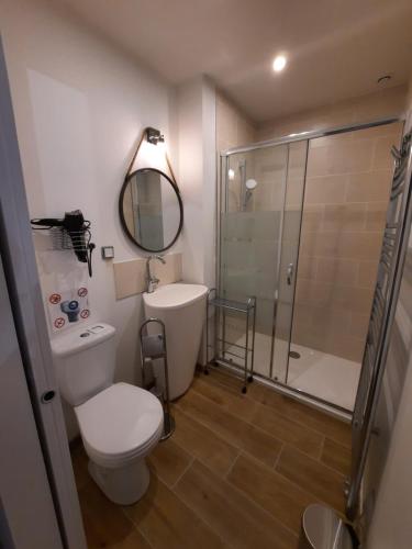 a bathroom with a toilet and a shower at Mas du Kairos in Venasque