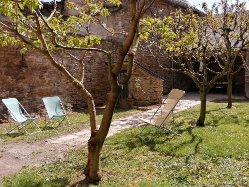 two chairs and a tree in a yard at La Maison des Rosiers in Manhac