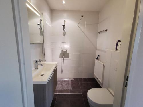 uma casa de banho com um lavatório branco e um WC. em Housing De Brouwerij em Westdorpe
