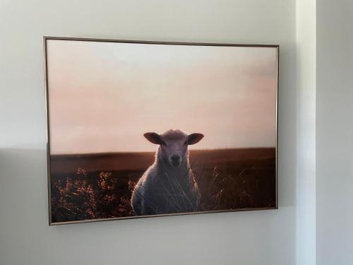 a picture of a sheep on a wall at Strandnest in Wyk auf Föhr