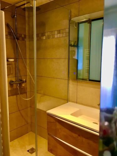 une salle de bain avec douche et lavabo dans l'établissement Cannes Croisette &Palm beach,parking, à Cannes