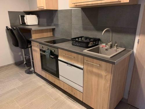 Kuchyň nebo kuchyňský kout v ubytování Beregi Apartman