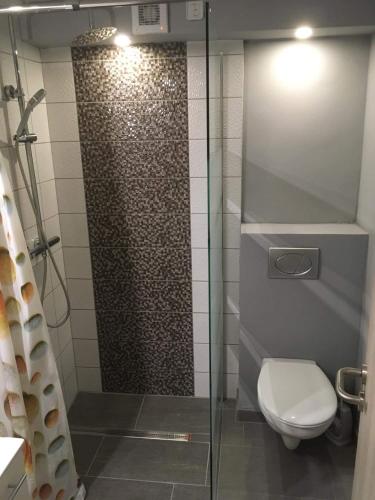 Koupelna v ubytování Beregi Apartman
