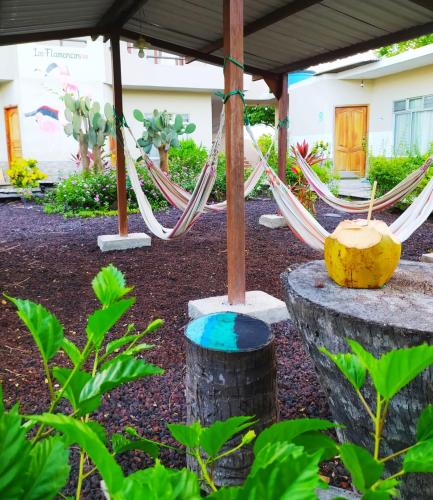 Taman di luar Hostal Los Flamencos