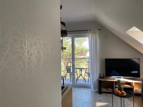 Μια τηλεόραση ή/και κέντρο ψυχαγωγίας στο Apartament w Dębkach