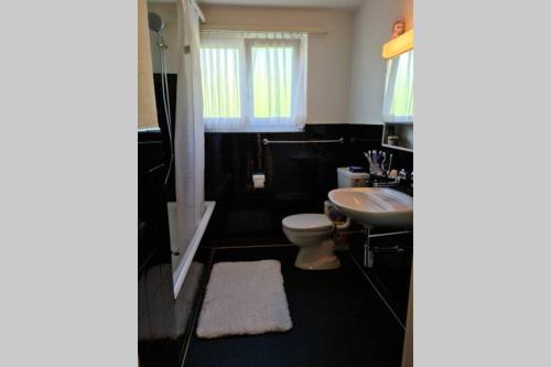 a bathroom with a toilet and a sink at Gemütliche Unterkunft in den Bergen in Oberiberg