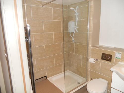 W łazience znajduje się prysznic, toaleta i umywalka. w obiekcie The White Lion Hotel w mieście Machynlleth