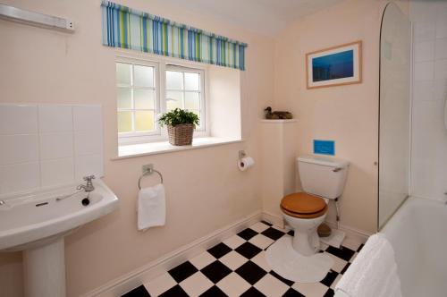 a bathroom with a toilet and a sink and a window at Tros Yr Afon Holiday Cottages and Manor House in Beaumaris