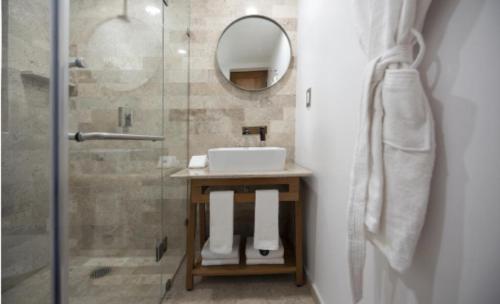 a bathroom with a shower with a sink and a mirror at Hotel MX condesa in Mexico City