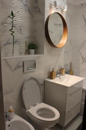 ein Badezimmer mit einem WC, einem Waschbecken und einem Spiegel in der Unterkunft Serene Apartment Navodari in Năvodari