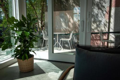 a plant sitting on a table in front of a window at Travelers New Orleans in New Orleans