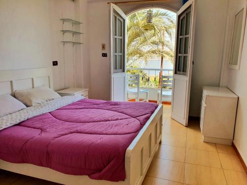 ein Schlafzimmer mit einem großen Bett mit einer lila Decke in der Unterkunft Luxor Guest House in Luxor