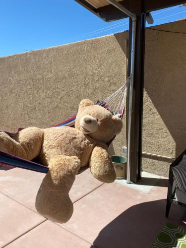 a teddy bear is sitting on a hammock at MI KASA HOT SPRINGS 420,Adults Only, Clothing Optional in Desert Hot Springs