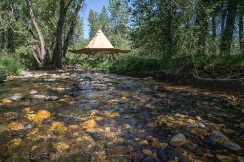 Foto dalla galleria di Bodhi Farms a Bozeman