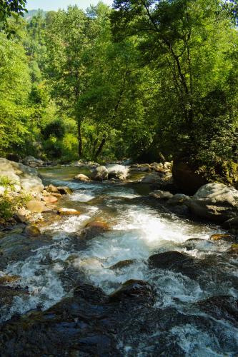 a stream of water with rocks and trees at NotOnMap - H2O House in Chamba