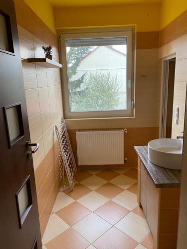 Kuchyň nebo kuchyňský kout v ubytování Platán Apartman