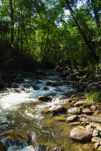 a stream of water with rocks and trees at NotOnMap - H2O House in Chamba