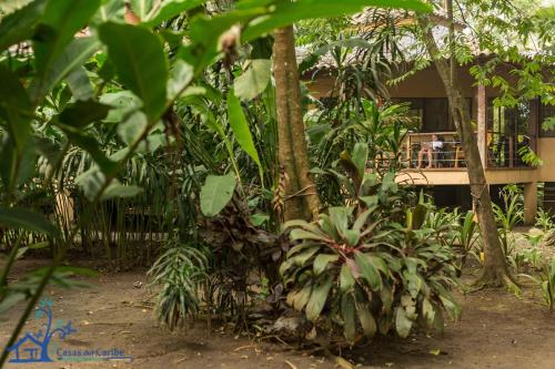 Jardin de l'établissement Casa Koda Beach Front
