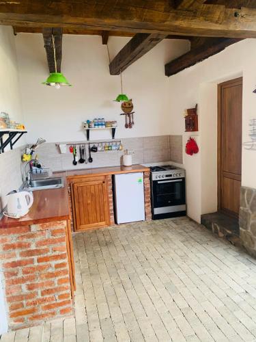 a kitchen with a white refrigerator and a stove at Casa "La Moara din Grădină" in Eftimie Murgu