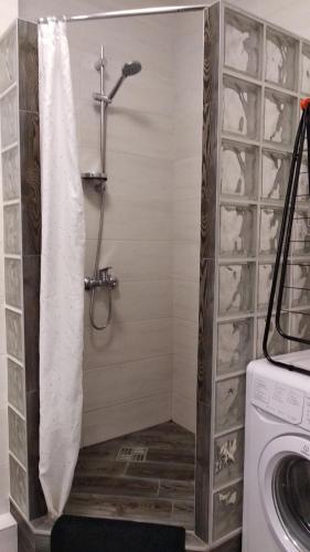 a shower with a shower curtain in a bathroom at Fly Up Home apartment in Boryspil