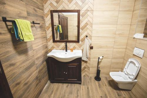 a bathroom with a sink and a toilet at Penzion u Pinkasů s wellness in Jablunkov