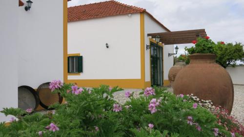 
a small garden with plants growing in it at Horta Da Vila in Alvito
