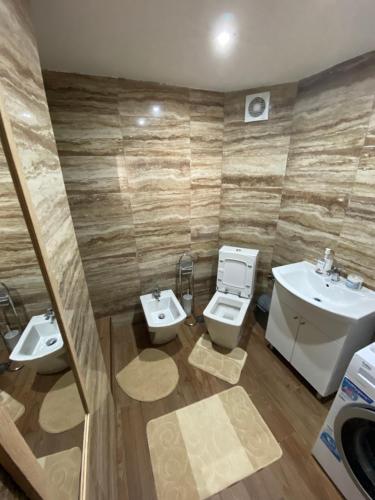 La salle de bains est pourvue d'un lavabo et de toilettes. dans l'établissement Apartment Jovicevic, à Rijeka Crnojevića