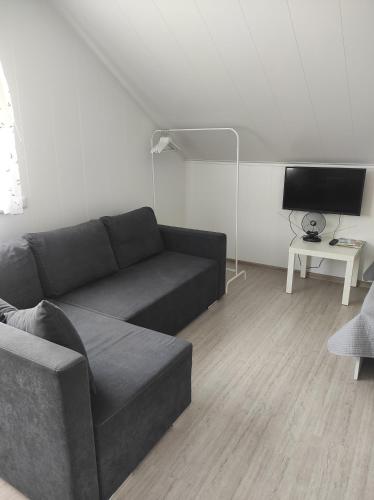 ein Wohnzimmer mit einem Sofa und einem TV in der Unterkunft Atostogų namai in Druskininkai