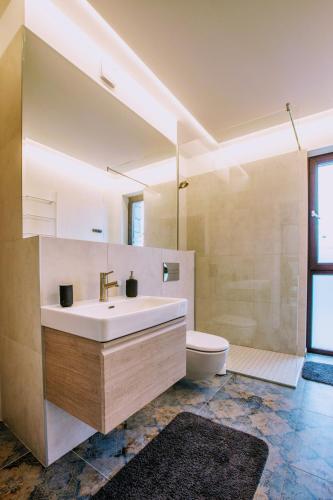 a bathroom with a sink and a toilet at Pine Home in Druskininkai
