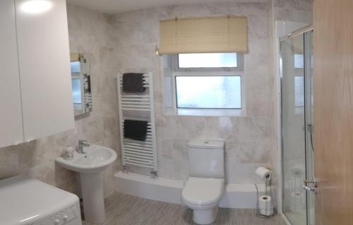 a bathroom with a toilet and a sink and a shower at The Gateway Guest Apartment in Portstewart