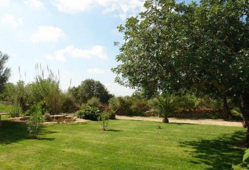 Jardín al aire libre en Finca Ramonet