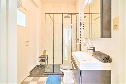 ein Bad mit einer Dusche, einem WC und einem Waschbecken in der Unterkunft Lily Apartment. Historic Center of Antwerp in Antwerpen
