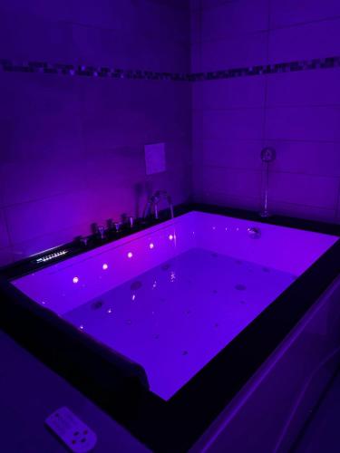 a purple room with a bath tub with a sink at Suite Darcy & Spa in Dijon