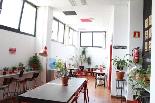 Εστιατόριο ή άλλο μέρος για φαγητό στο Bilbao Akelarre Hostel